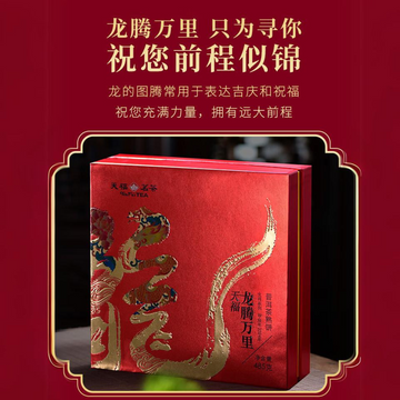 中國【天福茗茶】龍騰萬里 普洱茶熟餅 禮盒 485g