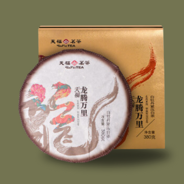 中國【天福茗茶】龍騰萬里  白牡丹緊壓白茶 禮盒 380g